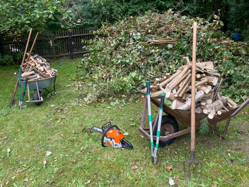 Clearing Debris After Removal