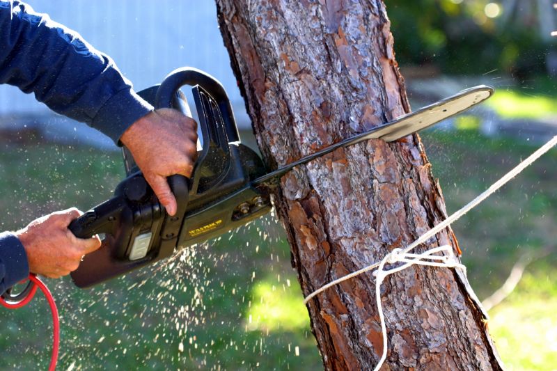 Local Tree Services